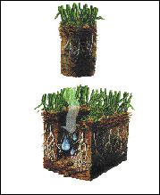aeration