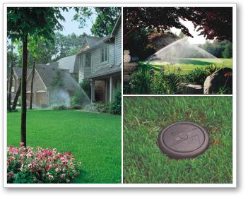 irrigation photos