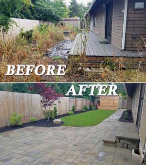 We Did This Complete Yard Renovation in 6 Days! 