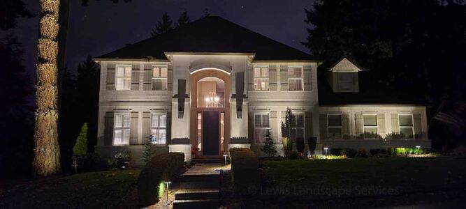 Mixture of Structural Lighting & Tree Uplighting at an Installation We Did in Tigard Oregon