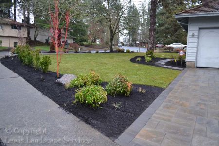 Winter 2015 - Front Yard - New Paver Driveway, New Sod Lawn, New Plants