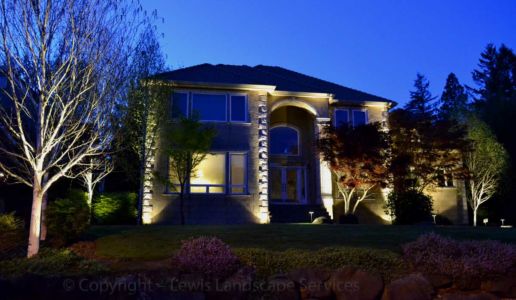 Mixture of Structural Lighting & Tree Uplighting at an Installation We Did in NW Portland