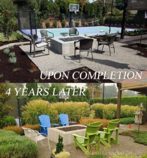 After and 4 Years Later - Landscaping Project in SW Portland, OR