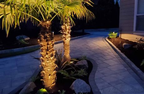 Uplighting some Windmill Palm Trees & Pathway Lights at an Installation we did n Beaverton