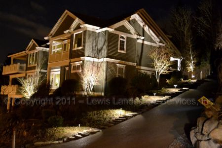 Outdoor-landscape-architectural-lighting-brenner-project-spring-2011 003