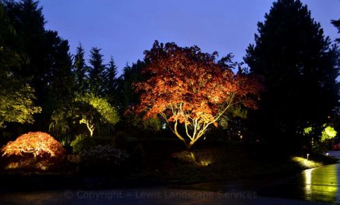 Tree Uplighting at this Night Lighting Installation We Did in NW Portland, Oregon