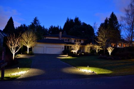 Mixture of Night Lighting Effects at this Lighting Install We Did in NW Portland Oregon