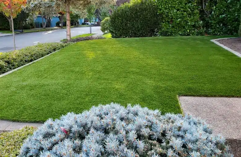 Synthetic Turf