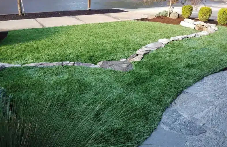 turf