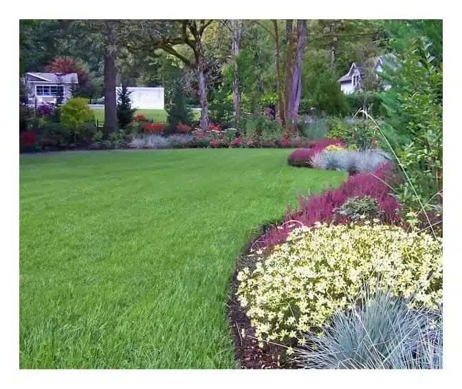 Landscape Designs