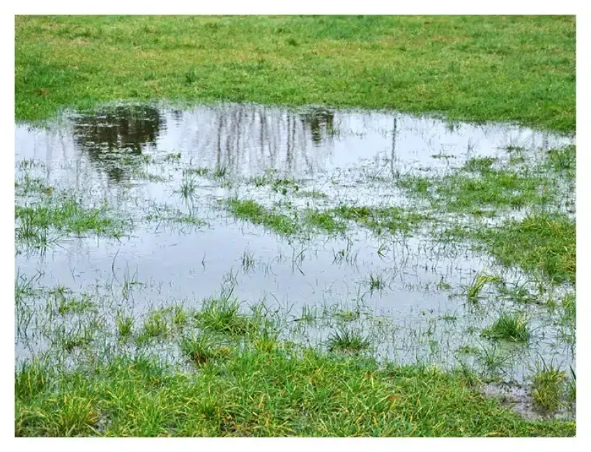 Drainage Landscape Company – Portland Oregon