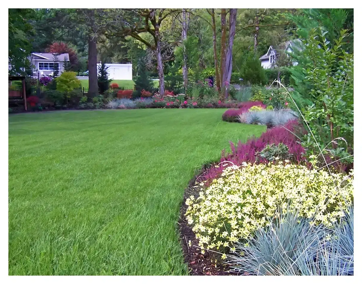 Plants and Trees landscaping in Portland Oregon