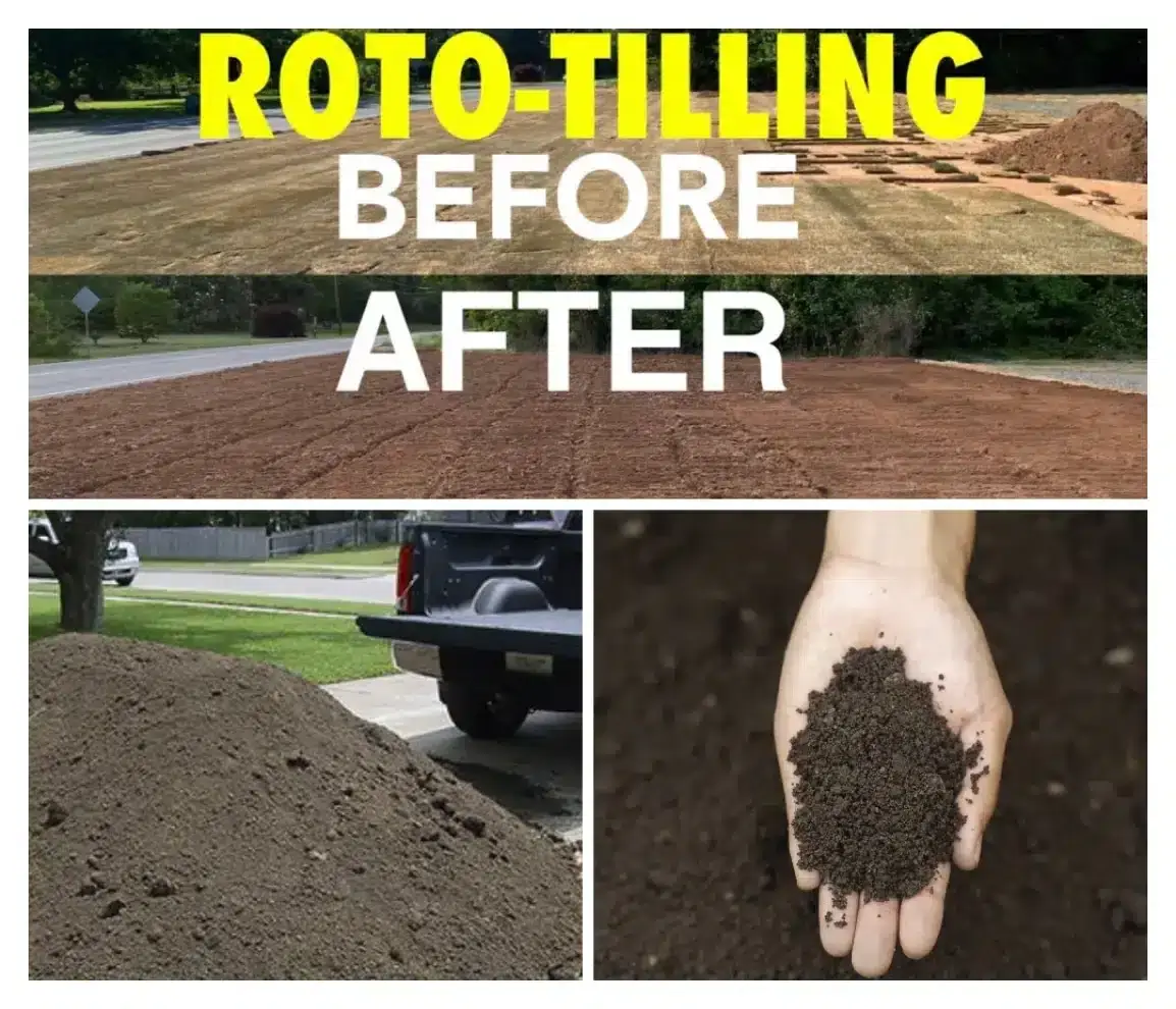 new sod lawns portland oregon