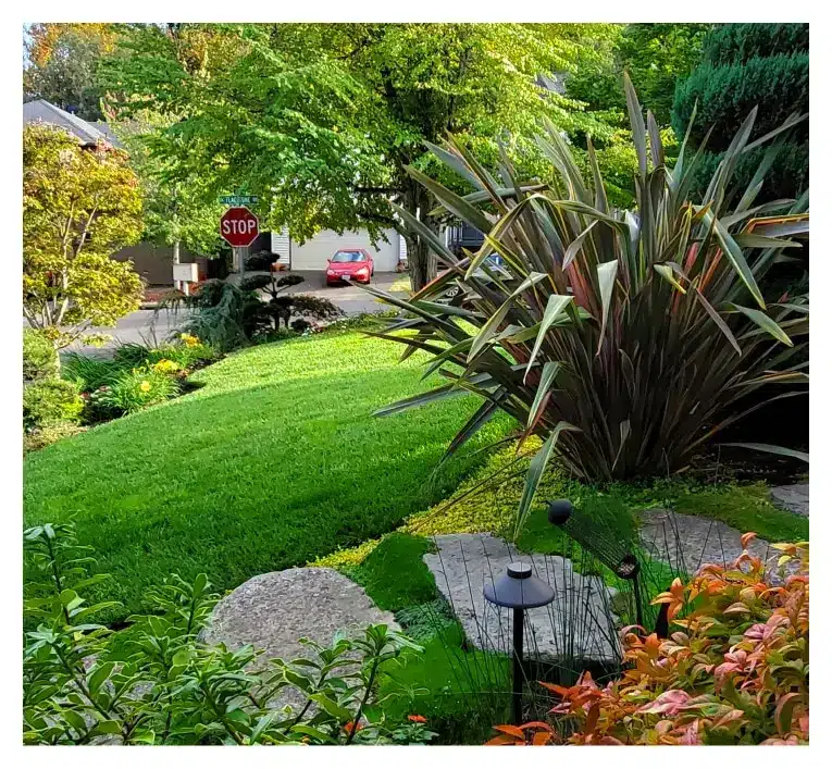 Yard Services by Lewis Landscaping in Portland Oregon