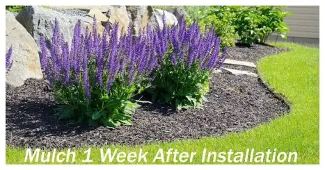 Barkdust Mulch Landscape Company – Portland Oregon