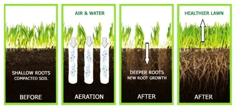 Aerating and De-Thatching Landscape Company – Portland Oregon