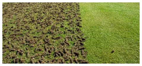 Aerating and De-Thatching Landscape Company – Portland Oregon