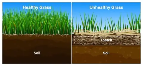 Aerating and De-Thatching Landscape Company – Portland Oregon