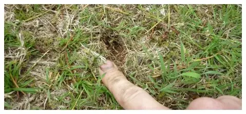 Aerating and De-Thatching Landscape Company – Portland Oregon