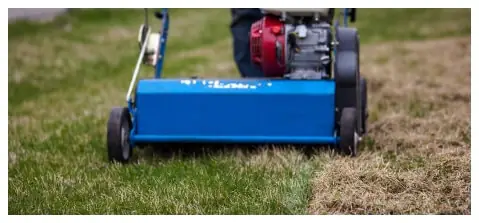 Aerating and De-Thatching Landscape Company – Portland Oregon