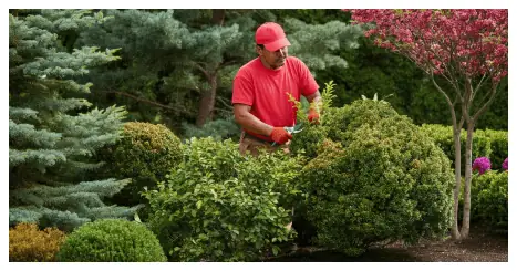 Clean Ups in Portland Oregon