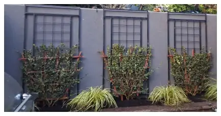 Iron and Aluminum Fences Gates Portland Oregon