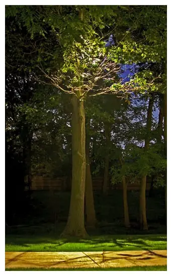 Outdoor Lighting & Landscape Lighting Company – Portland Oregon