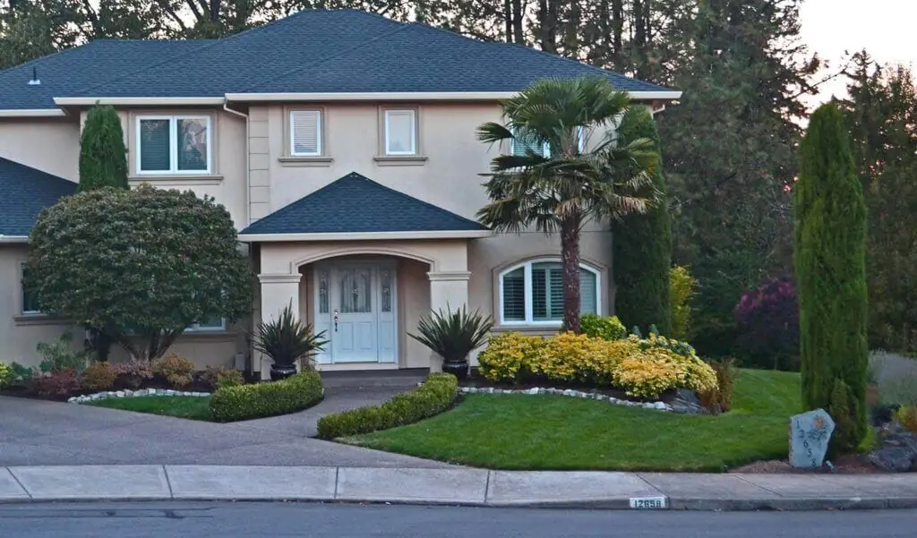 Palm Trees & Tropical Plantings / Landscapes In Portland Area