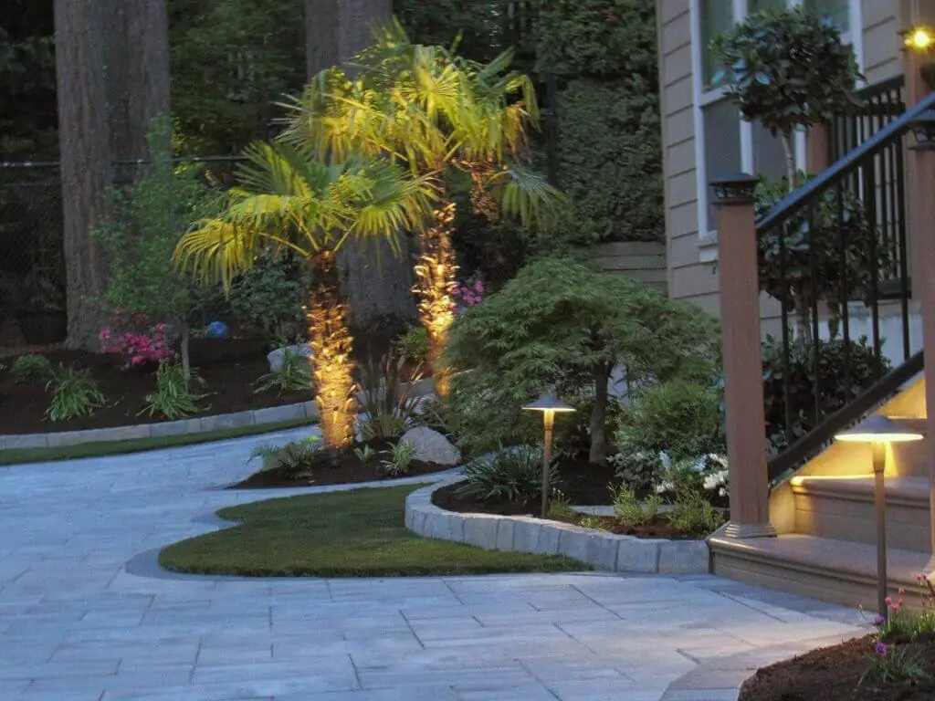Palm Trees & Tropical Plantings / Landscapes In Portland Area